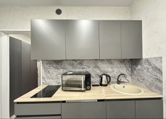 Квартира в аренду студия, 27 м2, Сочи, улица Искры, 88к2