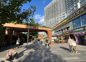 Сдам помещение свободного назначения, 16 м2, Москва, улица Новый Арбат, 17, район Арбат