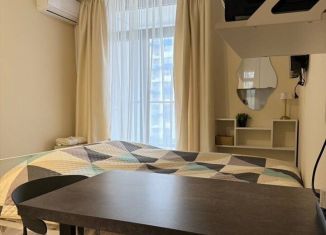 Сдается в аренду квартира студия, 22 м2, Сочи, Ясногорская улица, 16/2к8