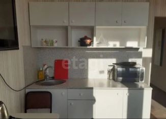 Продаю квартиру студию, 26 м2, Тюмень, Ботаническая улица, 1к1