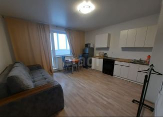 Продается квартира студия, 23.7 м2, Челябинск, улица Петра Сумина, 5, Центральный район