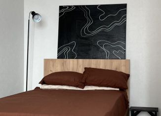 Сдаю 1-ком. квартиру, 33.5 м2, Йошкар-Ола, улица Панфилова, 33Б/1