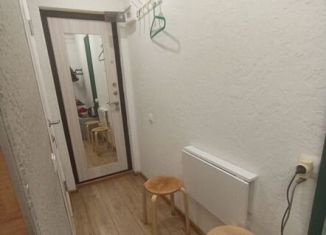 Продается квартира студия, 10 м2, Санкт-Петербург, метро Елизаровская, улица Ольминского, 6