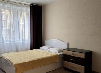 Сдаю в аренду однокомнатную квартиру, 38 м2, Ростов-на-Дону, 1-я Ковровая улица, 65/1