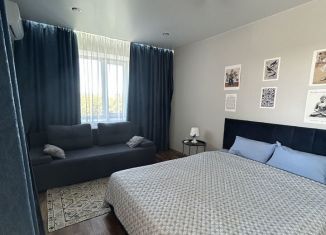 Сдается в аренду 1-ком. квартира, 45 м2, Пенза, Ладожская улица, 9А