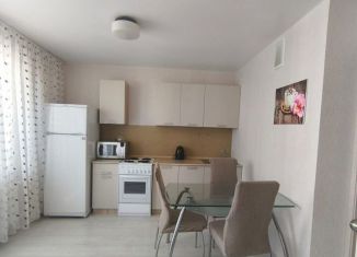 Сдаю в аренду квартиру студию, 30 м2, Ростов-на-Дону, улица Дмитрия Петрова, 13