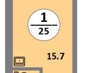 Продаю квартиру студию, 24.8 м2, Красноярский край, проспект 60 лет Образования СССР, 48