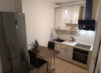 Сдача в аренду квартиры студии, 29.8 м2, Санкт-Петербург, Лыжный переулок, 8к1