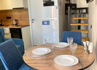 Сдаю в аренду однокомнатную квартиру, 26 м2, Сочи, Крымская улица, 49