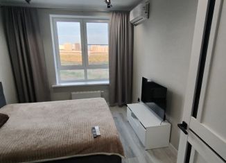 Сдается 2-ком. квартира, 42 м2, Ростов-на-Дону, переулок Чаленко, 11