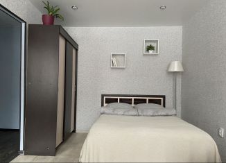 Сдача в аренду 1-ком. квартиры, 31 м2, Ярославль, улица Чкалова, 70