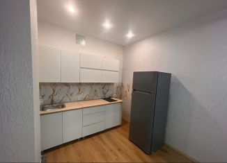 Сдается 1-ком. квартира, 40 м2, Республика Башкортостан, улица Ахметова, 156