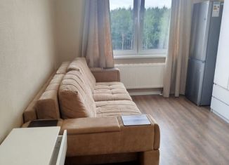 Сдаю квартиру студию, 20 м2, Санкт-Петербург, Пейзажная улица, 26, метро Девяткино