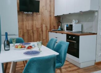 Аренда квартиры студии, 25 м2, Сочи, Молодогвардейская улица, 2Б/4