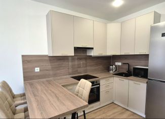 Сдается 2-комнатная квартира, 33.8 м2, Котельники, микрорайон Парковый, 14