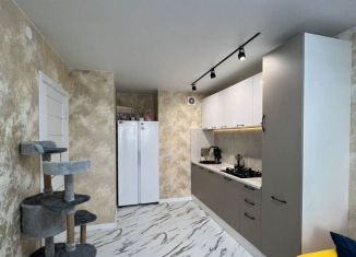 Продажа многокомнатной квартиры, 35 м2, Псков, Народная улица, 13