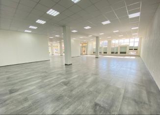 Сдача в аренду помещения свободного назначения, 500 м2, Ростов-на-Дону, Таганрогская улица, 33, Октябрьский район