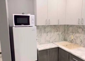 Аренда 1-ком. квартиры, 38 м2, Псков, набережная реки Великой, 4