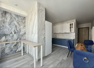 Сдаю однокомнатную квартиру, 45 м2, Ростов-на-Дону, улица Мечникова, 110с2, ЖК Династия