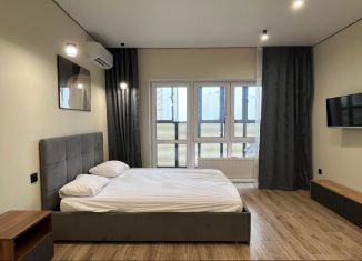 Квартира в аренду студия, 33 м2, Республика Башкортостан, Айская улица, 51