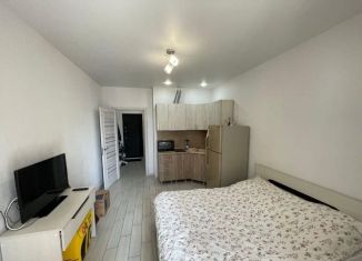 Продажа квартиры студии, 26 м2, Анапа, Парковая улица, 61к4, ЖК Привилегия