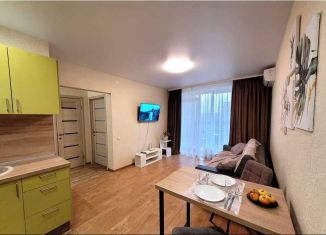 Сдам в аренду однокомнатную квартиру, 43 м2, Ижевск, улица имени Вадима Сивкова, 273