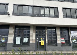 Сдача в аренду помещения свободного назначения, 43.7 м2, Санкт-Петербург, проспект Ветеранов, 198