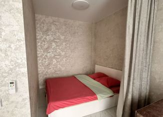 Сдам квартиру студию, 32 м2, село Орёл-Изумруд, Дачная улица, 16А