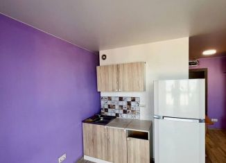 Продажа квартиры студии, 19.3 м2, Новоалтайск, Октябрьская улица, 18В
