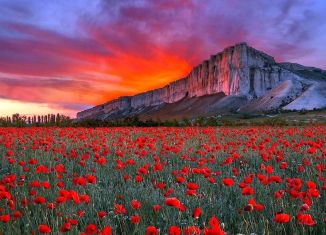 Продам участок, 6 сот., село Викторовка