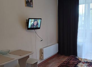 Аренда квартиры студии, 24 м2, Новосибирск, улица Авиастроителей, 11/1, метро Заельцовская