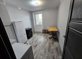 Сдаю 1-комнатную квартиру, 38 м2, Липецк, Молодёжная улица, 9