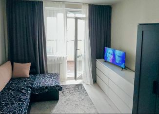 Сдаю в аренду квартиру студию, 23 м2, Мурино, Воронцовский бульвар, 16к2, ЖК Краски Лета