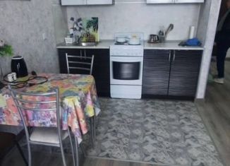 Сдача в аренду квартиры студии, 30 м2, Республика Башкортостан, улица Максима Рыльского, 11/1