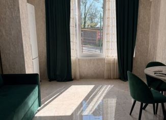 Сдам квартиру студию, 21 м2, Сочи, улица Яна Фабрициуса, 54/55