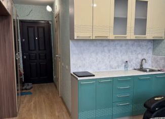 Сдам квартиру студию, 17.1 м2, Тюмень, Интернациональная улица, 199к4