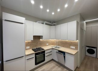 Сдам в аренду 2-комнатную квартиру, 50 м2, Санкт-Петербург, Гаванская улица, 38