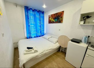 Квартира в аренду студия, 16 м2, Санкт-Петербург, набережная Обводного канала, 142/16Б