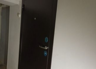 Сдаю в аренду помещение свободного назначения, 3.8 м2, Краснодар, Черкасская улица, 63