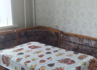 Сдается 1-ком. квартира, 47 м2, Новосибирск, улица Шевченко, 35, Октябрьский район