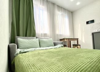 Сдача в аренду квартиры студии, 15 м2, Сочи, Малая улица, 3, микрорайон Старая Мацеста