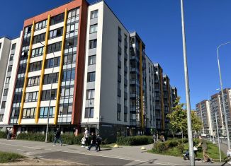 Сдаю в аренду помещение свободного назначения, 45.3 м2, Санкт-Петербург, проспект Ветеранов, 179