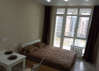 Сдается в аренду квартира студия, 23 м2, Архангельская область, Корабельная улица, 13