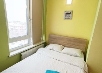 Сдам в аренду квартиру студию, 13 м2, Нижний Новгород, улица Максима Горького, 23А