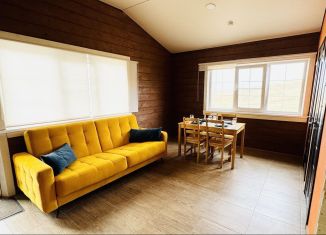 Сдача в аренду таунхауса, 40 м2, Нижегородская область, коттеджный посёлок Терраски, 2/3