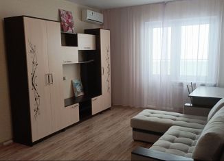 Сдам квартиру студию, 29 м2, Ростов-на-Дону, улица Висаитова, 2/10с1