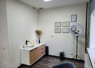 Сдается в аренду помещение свободного назначения, 26 м2, Санкт-Петербург, Толубеевский проезд, 14к1