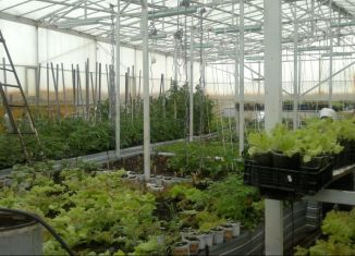 Продаю земельный участок, 64 сот., Елабуга