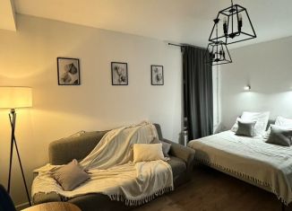 Сдам квартиру студию, 22 м2, Санкт-Петербург, проспект Обуховской Обороны, 123А