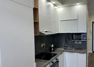 Сдам двухкомнатную квартиру, 39 м2, Ростов-на-Дону, Красноармейская улица, 157В/83с3